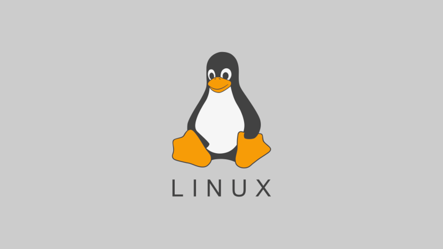 Linux User Password